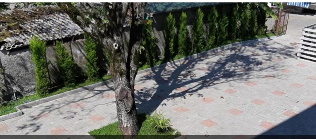 Sunny Days Kobuleti Exterior foto